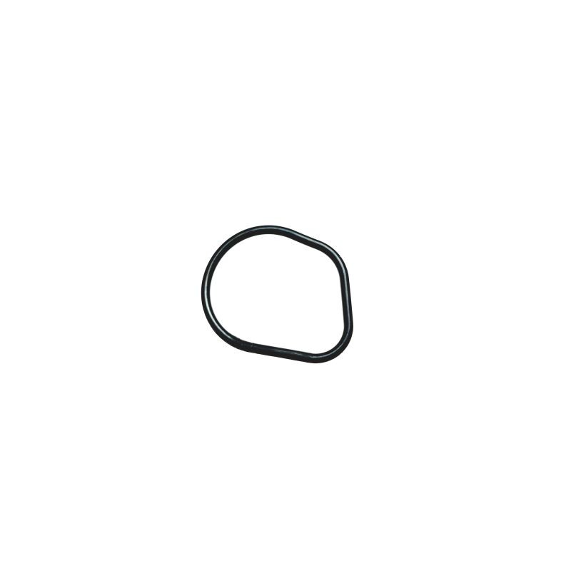Segway WATER PUMP SEAL - Onderdeel E01C20106001 Segway WATER PUMP SEAL - Onderdeel E01C20106001