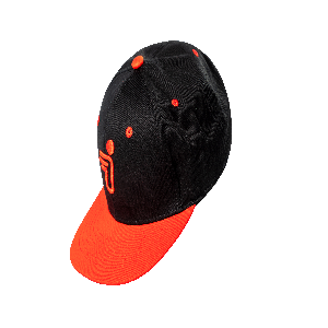 Segway Segway Flat-brim Cap - Partnr: AM1R31001001