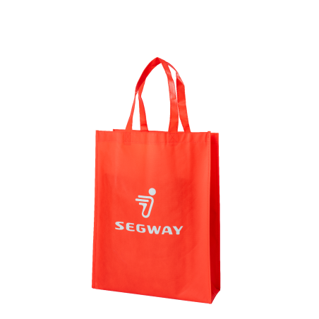 Segway Accessoire: Non-woven Bag