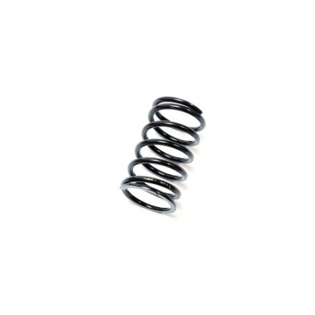 Segway SPRING - Partnr: F01-E102009-000-00