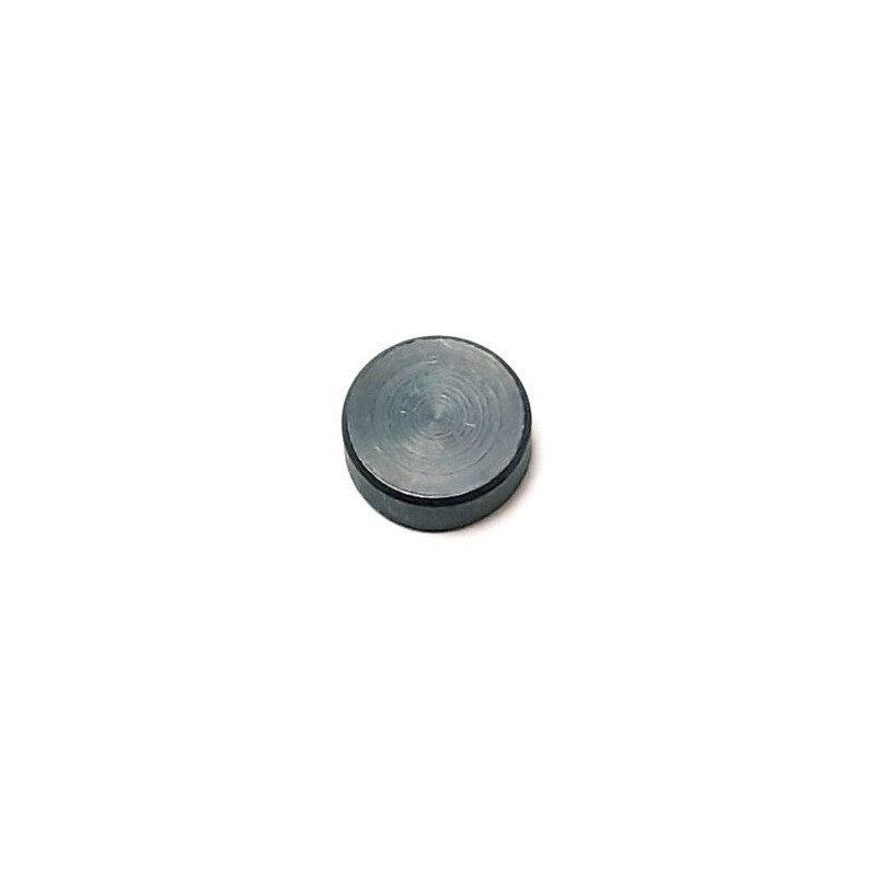 Segway OEM standard Villain Counterweight (47.7G) for CVTech CVT- Partnr: E02-E103002-000-00 Segway OEM standard Villain Counterweight (47.7G) for CVTech CVT- Partnr: E02-E103002-000-00