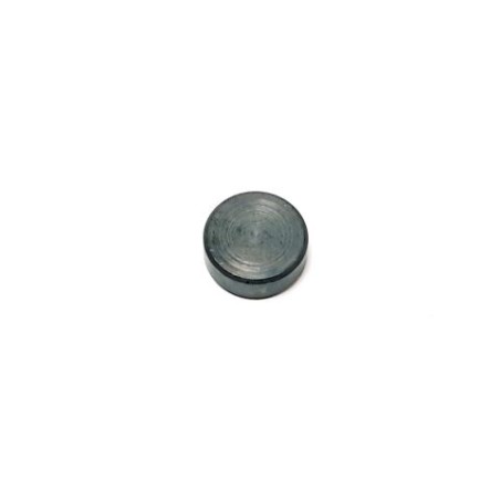 Segway COUNTERWEIGHT (17G) - Partnr: F01-E103001-000-00