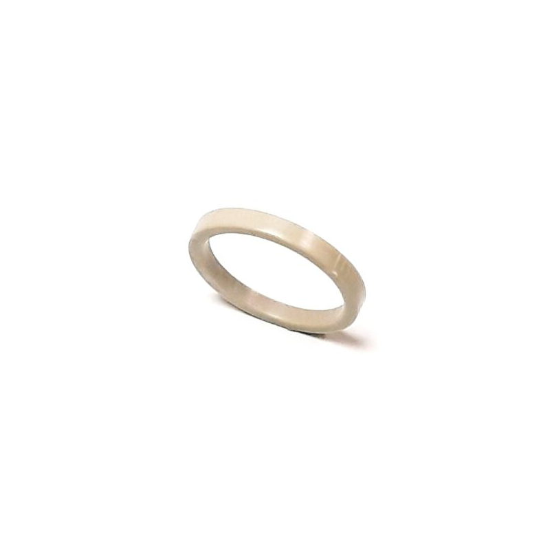 Segway Speed Limiting Washer, Part F01-E102008 Segway Speed Limiting Washer, Part F01-E102008