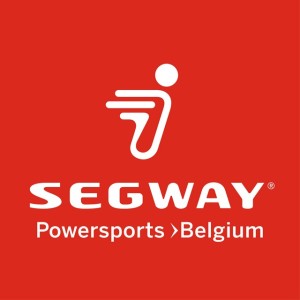 Segway FLAT WASHER Φ 6 - GBT000971003