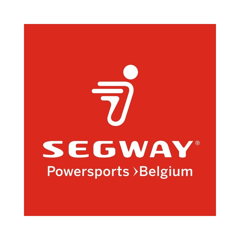 Segway FLAT WASHER Φ 6 - GBT000971003