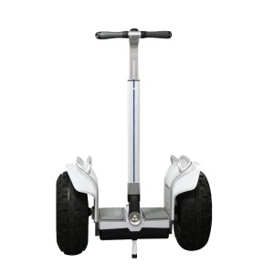 ESWING ES6S elektrische zelfbalancerende scooter met dubbel accupakket 26.4Ah - 80Km rijbereik.