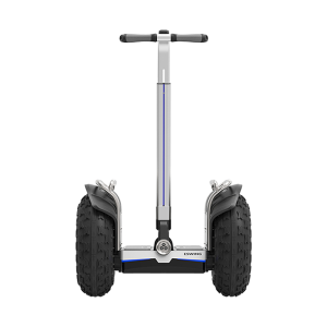 ESWING ES6S elektrische zelfbalancerende scooter met dubbel accupakket 26.4Ah - 80Km rijbereik.