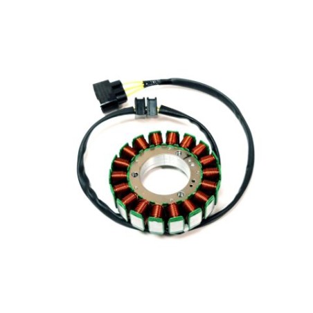 Segway Magneto Stator - E01-C212100-000-00