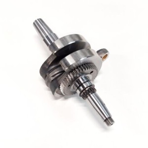 Segway-E01B10000001-CRANKSHAFT