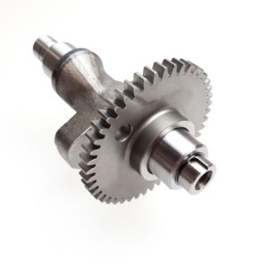 Segway OEM BALANCE SHAFT ASSY Part Nummer: F01D00100001