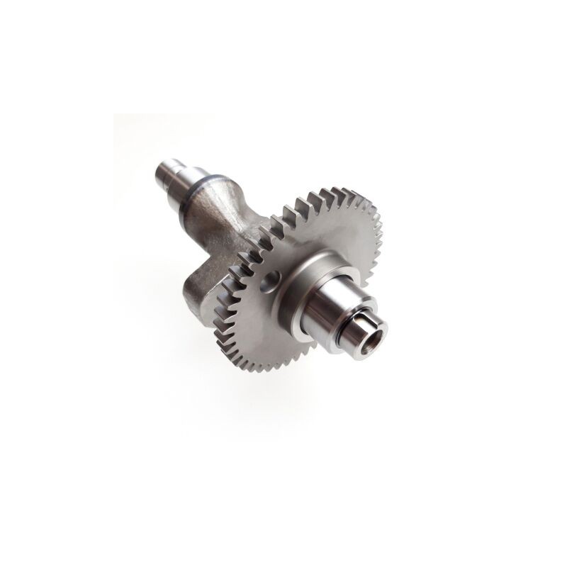 Segway OEM BALANCE SHAFT ASSY Part Nummer: F01D00100001 Segway OEM BALANCE SHAFT ASSY Part Nummer: F01D00100001