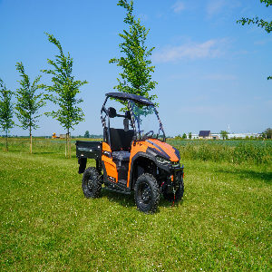 UTV diesel T1a Linhai 1100cc powerd by Kubota, Winch, Windshield, Side bumper, Central Mirror, Rubber mat, Felt pad, Elektric Du