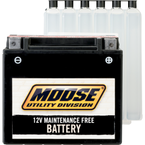 Segway 30AH 12V 385A Battery