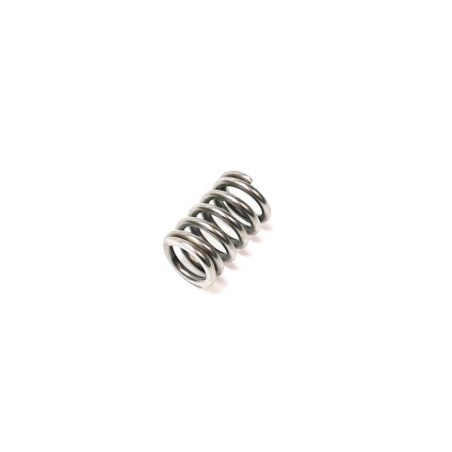 Segway Exhaust Pipe Spring - A01A32005001
