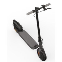 Segway Steps