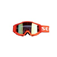 Segway Goggles