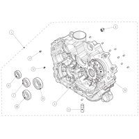 Linker Crankcase Kit SGW570FA6009