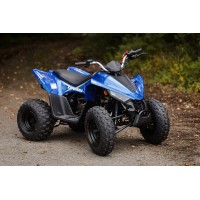 Linhai ATV110 junior ATV parts